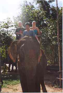 Henrik på elefanttur med en gruppe